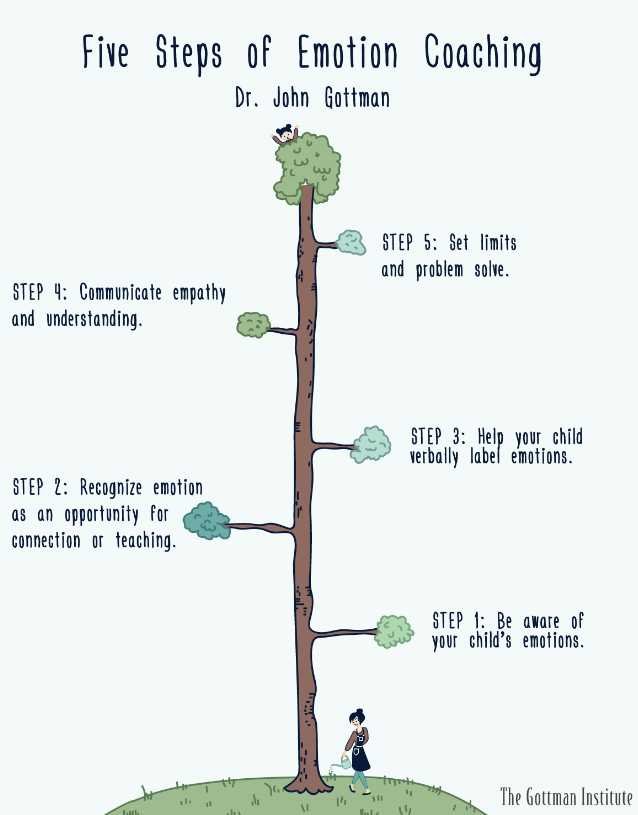 steps of emotion coaching